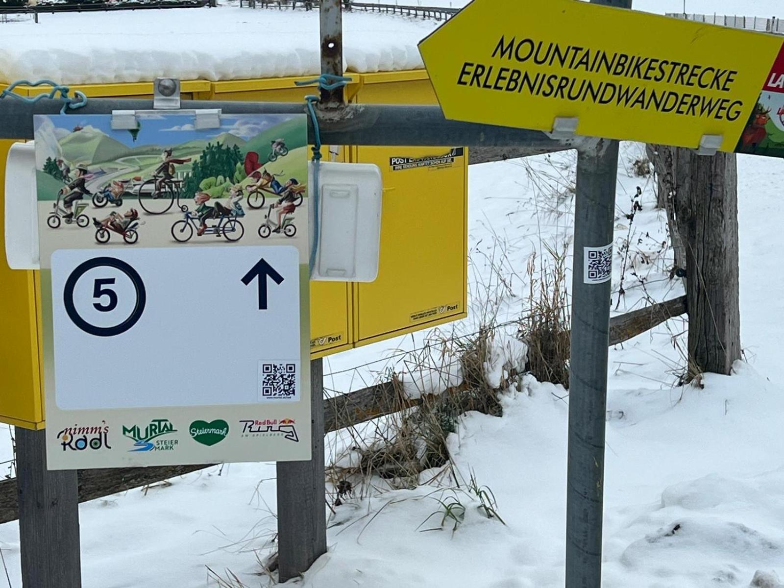 Poelstaler Berghuette Leilighet Oberzeiring Eksteriør bilde