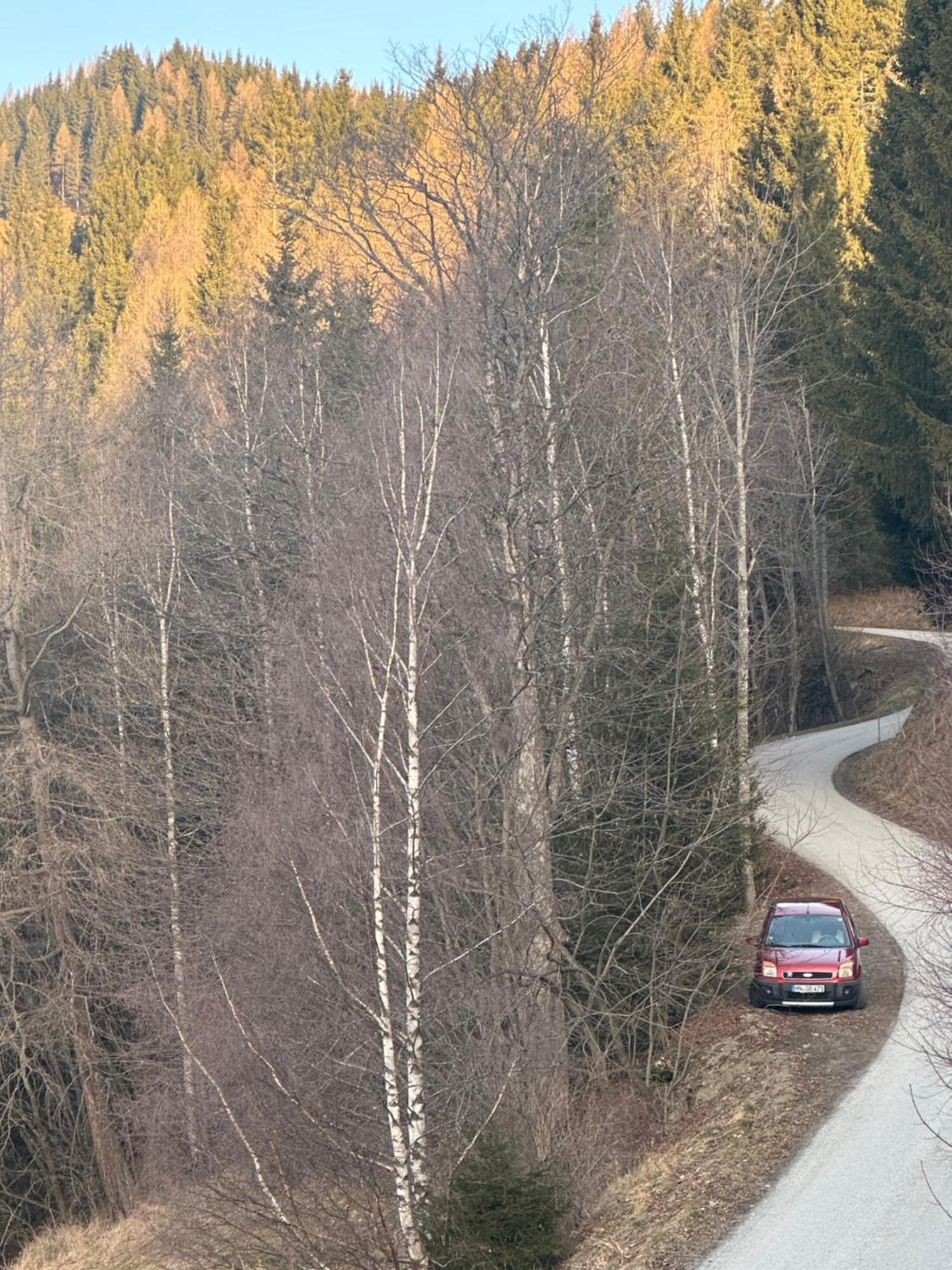 Poelstaler Berghuette Leilighet Oberzeiring Eksteriør bilde